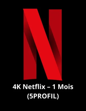 Abonnement 4K Netflix–1 mois (5 PROFIL)